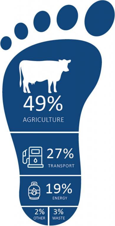 Infographic in the shape of a foot