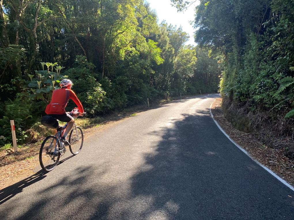 Cyclist on road