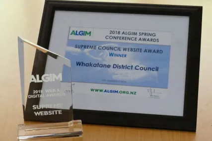 Picture of the 2018 ALGIM Supreme Website Awards