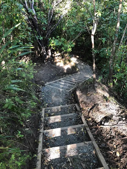 A section of the Ngā Tapuwae o Toi walking track, upgraded in early 2018.