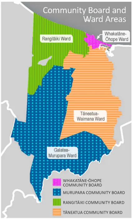 A map of the community board and ward areas proposed under the Representation Review.