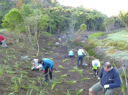 Members of the Restoration Group replanting in Waiewe Reserve. Members of the Restoration Group replanting in Waiewe Reserve.