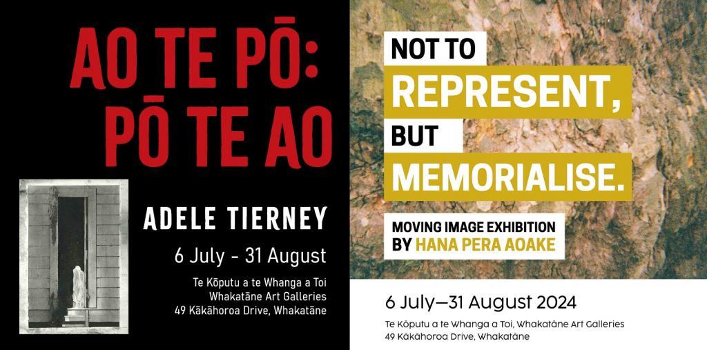 Two-gallery opening this weekend at Te Koputu