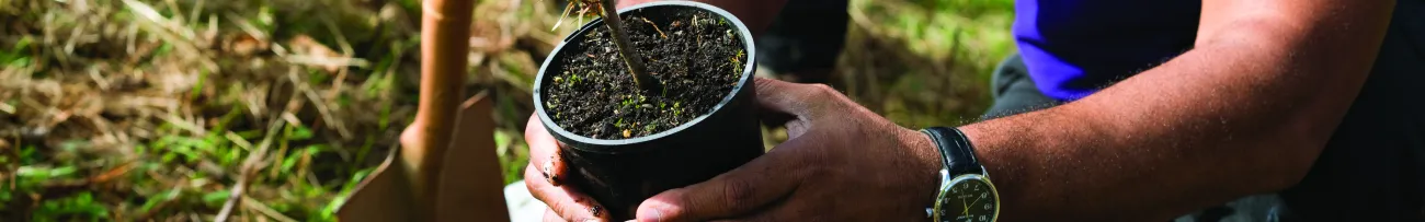 Planting for the community