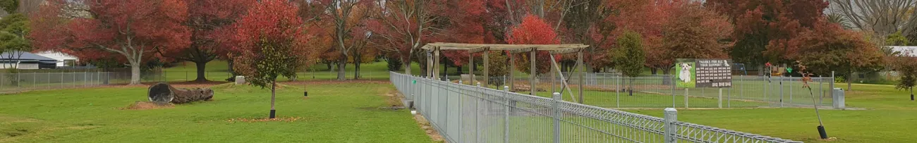 Dog park Header Image