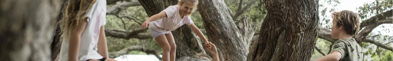 Kids playing in trees