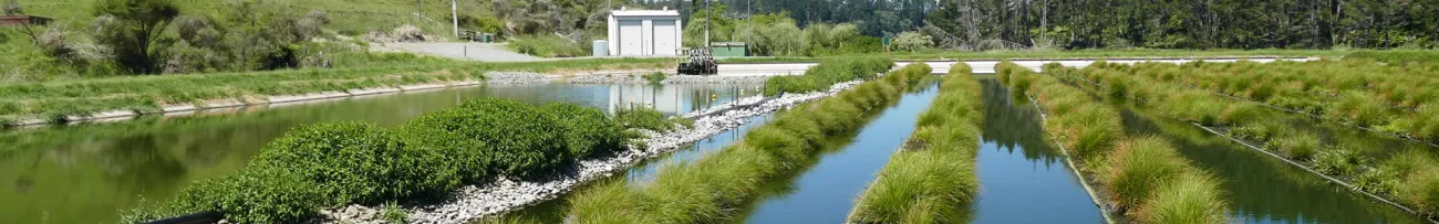 Wastewater treatment ponds in Ōhope