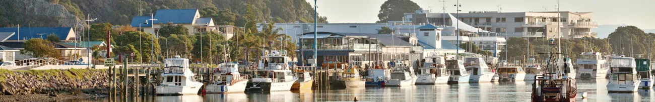 Whakatāne river and Harbour at dusk