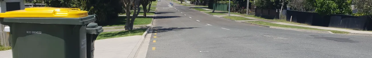 Bins on the side of the road