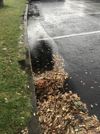 Leaves blocking drain