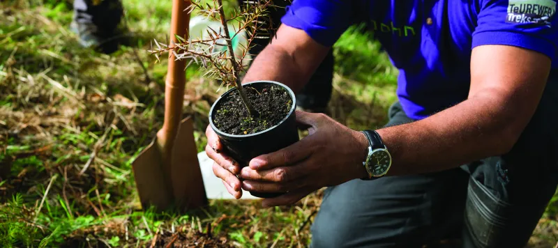 Planting for the community