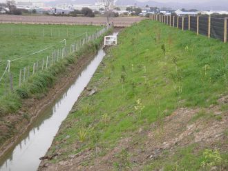 A planted bund wall, stormwater collection trench and one of the groundwater monitoring bores at Whakatāne’s new Keepa Road greenwaste processing facility.