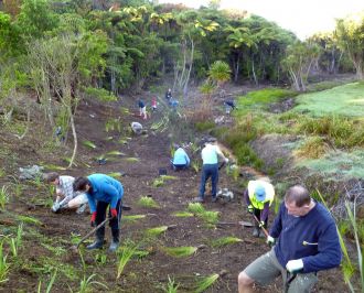 Members of the Restoration Group replanting in Waiewe Reserve.