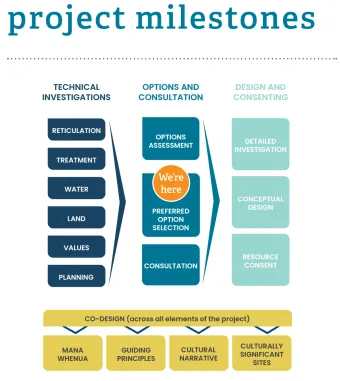 Project Milestone infographic